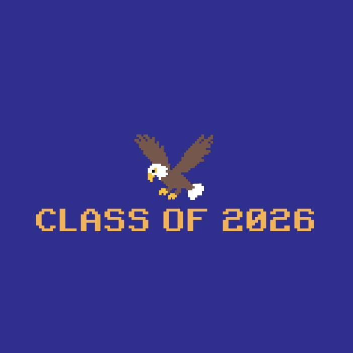 T-shirt with 8bit falcon design